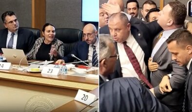 Ayyüce Türkeş’ten MHP’ye sert sözler! Komisyonda ortalık bir anda karıştı