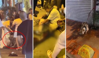 Beyoğlu sokakları kana bulandı! Pitbull saldırdı, sahibi bıçaklandı