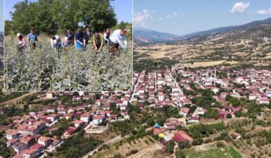 Bir ilçenin kaderini değiştiren ürün! Altından daha kolay satılıyor