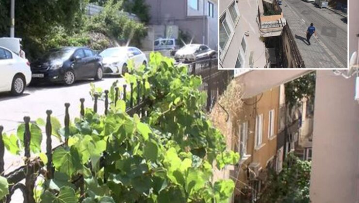 İstanbul’daki bu binayı gören bir daha bakıyor! Üzerinden araçlar geçiyor