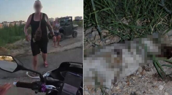 Alman vatandaşı köpeği önce ezdi sonra taşla vurarak öldürdü
