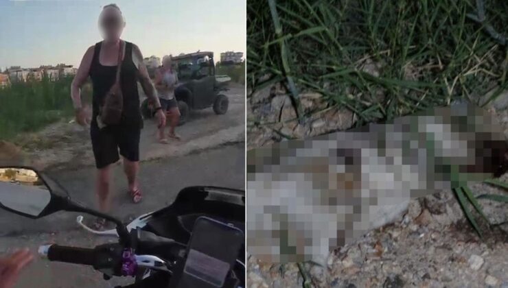 Alman vatandaşı köpeği önce ezdi sonra taşla vurarak öldürdü