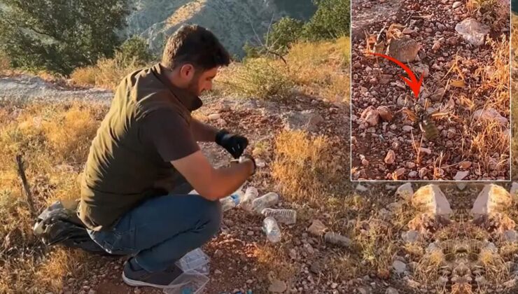 Türkiye’den kaçırırken yakalandılar! Yabancı uyruklu şahıslara 1,4 milyon TL ceza