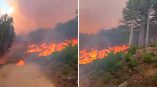 Aydın’ın Kuyucak ilçesindeki orman yangını saatledir söndürülemedi