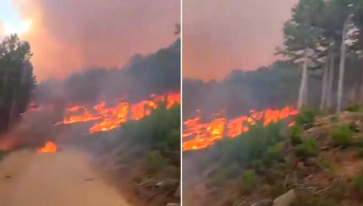 Aydın’ın Kuyucak ilçesindeki orman yangını saatledir söndürülemedi