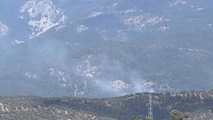 Zeytinlikte çıkan yangın Kazdağı Milli Parkı’na sıçradı