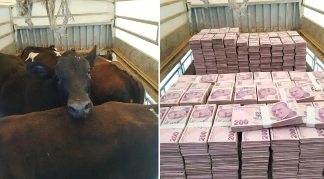 Düştüğü not manidar! Kayserili besicinin paylaşımına bakın