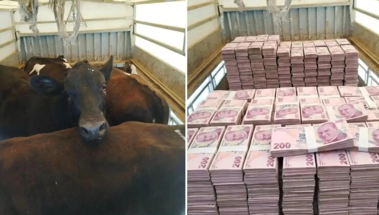 Düştüğü not manidar! Kayserili besicinin paylaşımına bakın