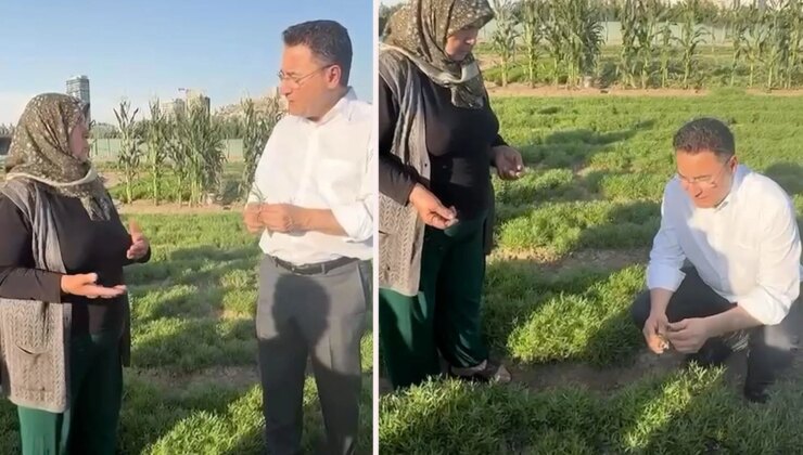 30 yıllık üretici Ali Babacan’a dert yandı: Geçinemiyoruz, bırakacağız