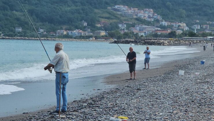 Karadeniz’de balık bolluğu: Oltasını kapan deniz kenarına koştu, kovalar doldu