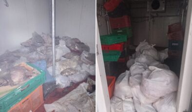 Bodrum’da kötü koku ihbarı ekipleri harekete geçirdi: 400 kilo bozuk ete el konuldu