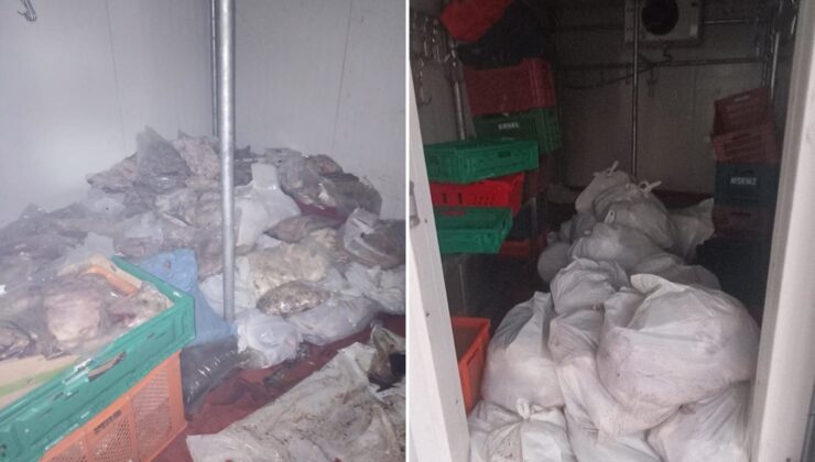 Bodrum’da kötü koku ihbarı ekipleri harekete geçirdi: 400 kilo bozuk ete el konuldu
