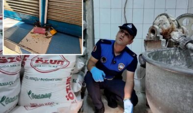 Sofralara gelecekti! Her yeri böcek saran fırın sahibinden çileden çıkaran sözler