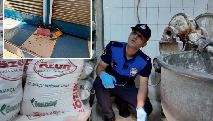 Sofralara gelecekti! Her yeri böcek saran fırın sahibinden çileden çıkaran sözler