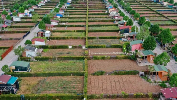 Hobi bahçeleri ve Bungalovlar için yeni dönem! Arazi sınırlaması değişti