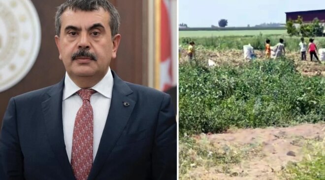 Hatay Kumlu’da vahim iddialar! Bakan Tekin’e çağrıda bulundular: Lütfen bu duruma el atın