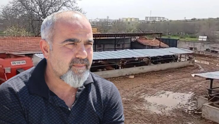 Böyle komşu olmaz olsun! Hem koyunlarını çaldı hem aramasına yardım etti