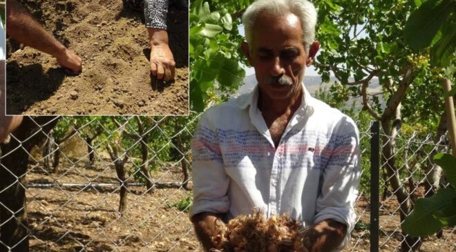 İlçede bir ilki gerçekleştirdi, geliri 10 kat arttı! Paraya para demiyor