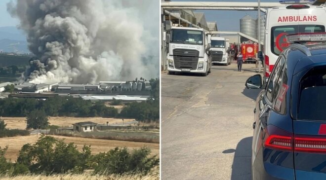 Mudanya’da tavuk çiftliğinde yangın: 12 bin tavuk telef oldu