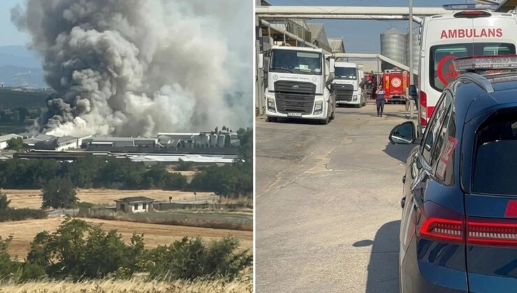 Mudanya’da tavuk çiftliğinde yangın: 12 bin tavuk telef oldu