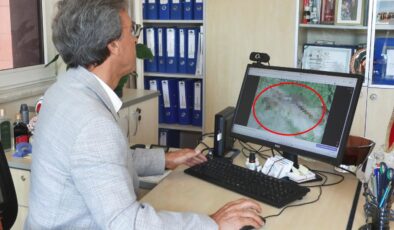 İstanbul’da akrep alarmı! Uzmanlardan kritik uyarlar var