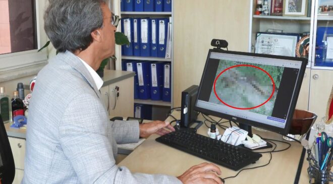 İstanbul’da akrep alarmı! Uzmanlardan kritik uyarlar var