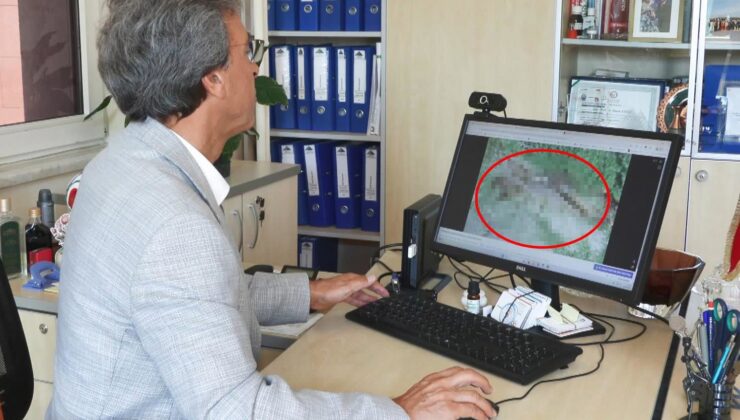İstanbul’da akrep alarmı! Uzmanlardan kritik uyarlar var