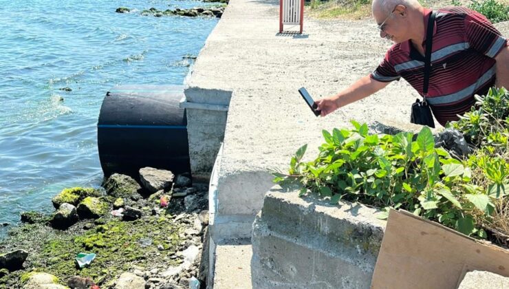Onu gören telefonuna sarıldı: Sahilde karpuz keyfi yapan fareye büyük ilgi