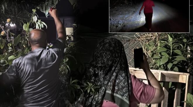Koca ilçe 6 aydır diken üstünde! Geceleri ortaya çıkıyor, mahalleli nöbette