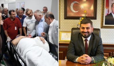 Arı kovanı bakımı yapan belediye başkanı iskeleden düşüp yaralandı