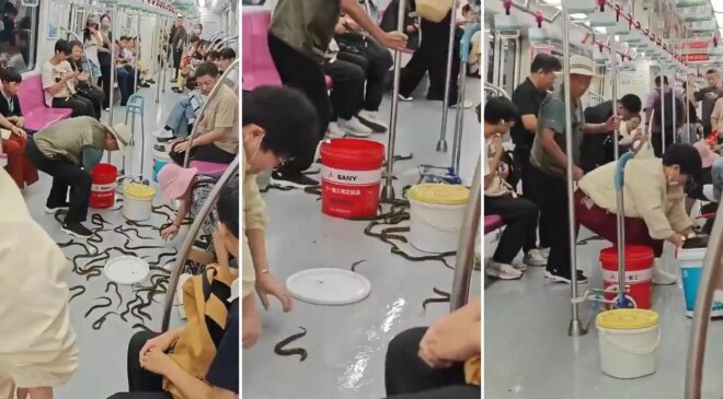 Metroda yılan paniği! Gerçek ortaya çıkınca yolcular da şaşırdı
