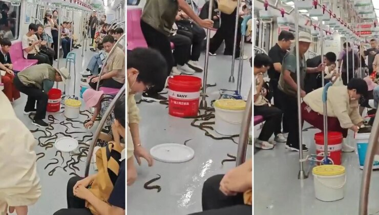 Metroda yılan paniği! Gerçek ortaya çıkınca yolcular da şaşırdı