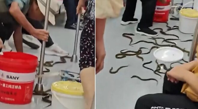 Metroya onlarcası saçıldı, ortalık karıştı