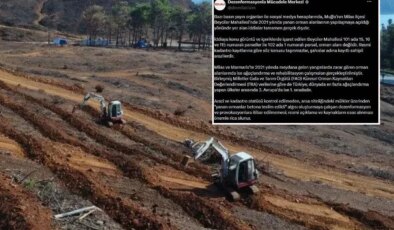Milas’taki yangın alanı imara açıldı mı? İddialara yanıt geldi