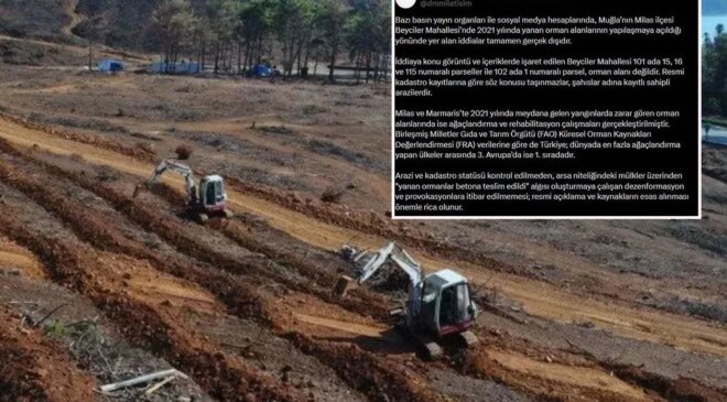 Milas’taki yangın alanı imara açıldı mı? İddialara yanıt geldi