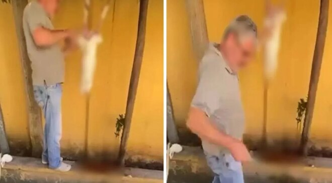 Okul bahçesinde tavşan kestiği görüntüler sanal medyada paylaşılan şüpheli gözaltına alındı