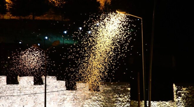 Ardahan’da “bir günlüklerin” ölüm uçuşu görsel şölene dönüştü