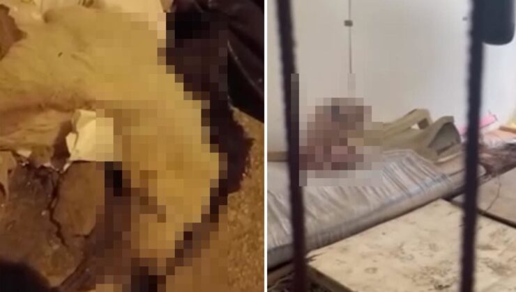 Pire istilasına uğrayan sokakta kan donduran görüntüler