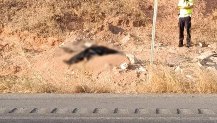Gaziantep’te otomobiller çarpıştı: 3 ölü, 3 yaralı
