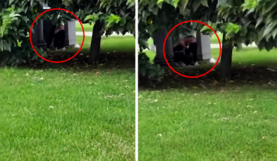 Maltepe Sahili’nde pes dedirten görüntü: Sahil ortasında sırt tıraşı