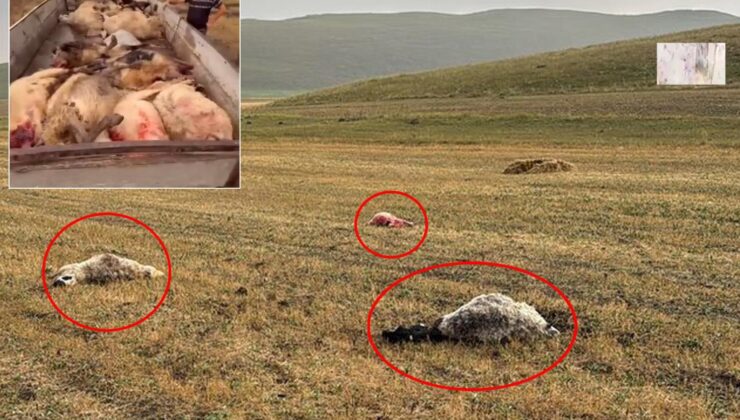Tam bir kamyon dolusu! Emekler saniyeler içerisinde yok oldu
