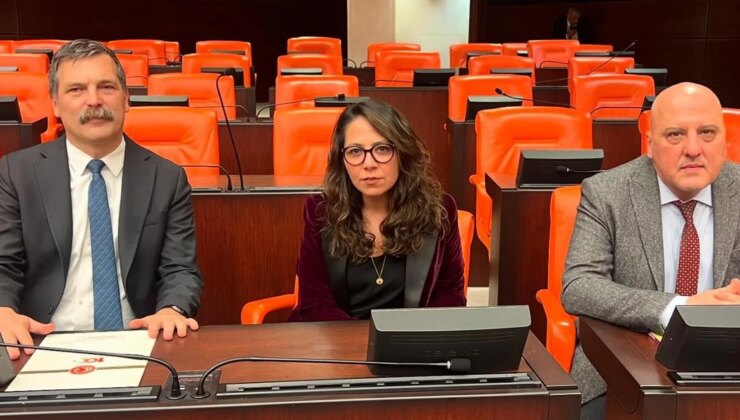 TİP milletvekili Sera Kadıgil hakkında “Cumhurbaşkanına hakaret” ve “tehdit” soruşturması