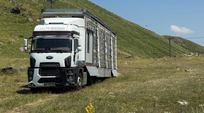 Türkiye’de bir ilk! Tır dorsesini mobil bal fabrikasına çevirdi