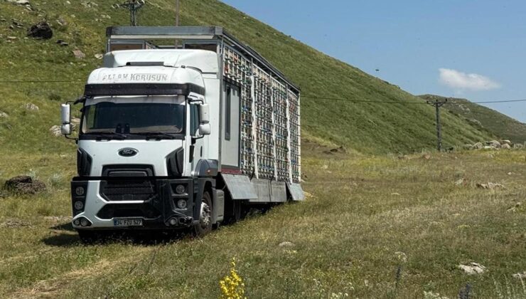 Türkiye’de bir ilk! Tır dorsesini mobil bal fabrikasına çevirdi