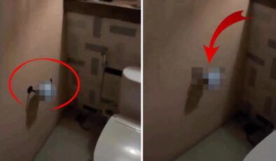 Tuvalet kağıtlarını İsrail bayrağıyla değiştirdi