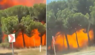 Yalova’da düşen F-16 üstlerinden böyle geçmiş! Yeni görüntüler