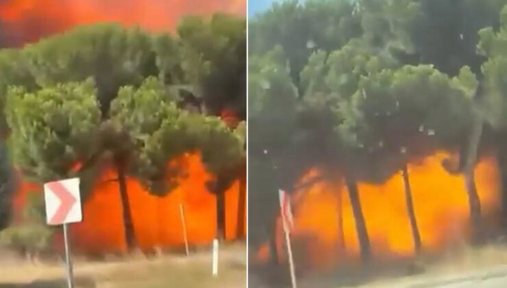 Yalova’da düşen F-16 üstlerinden böyle geçmiş! Yeni görüntüler