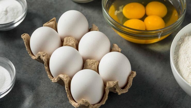 Belçika’da salmonella alarmı: 306 kişi hastalandı, yumurtalar 8 ülkede toplatılıyor