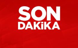 LGS tercih sonuçları açıklandı
