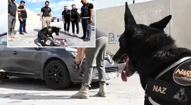 Erzincan’da narkotik köpek Naz emekli oldu
